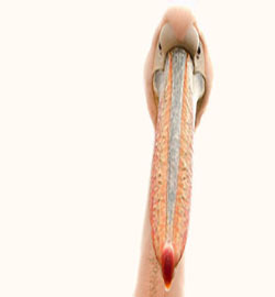 占卜：我們現在的關系到底像什么