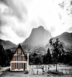 風水出了問題，再努力也賺不到錢