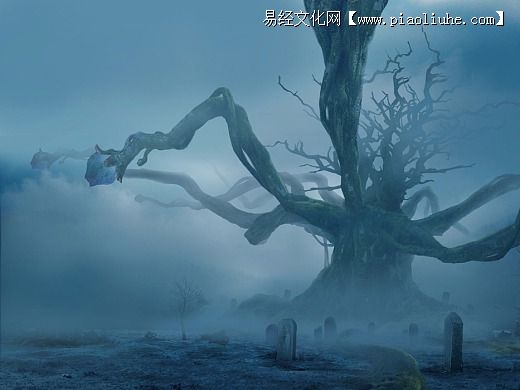 墳地風水：入墳斷你了解多少規則