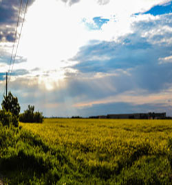 風水看墓地的幾大原則到底是什么