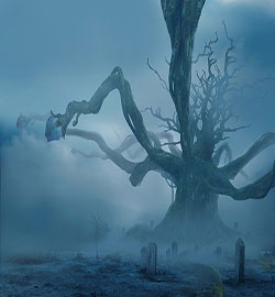 風水小故事：在民間流傳的風水故事