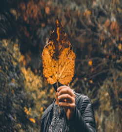 八字算命：批生辰八字算命之貴人篇