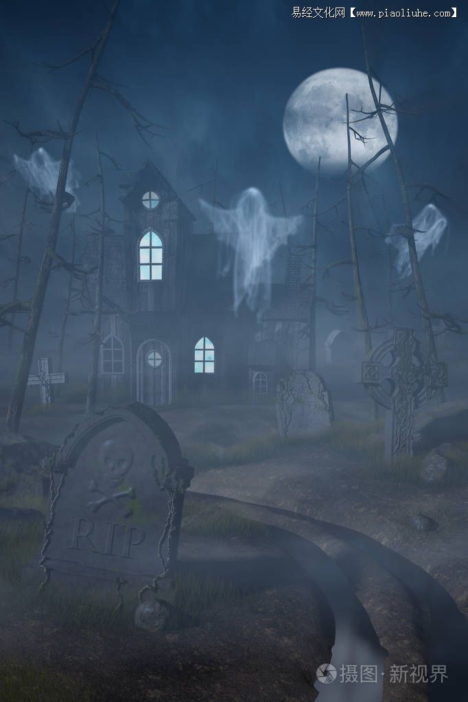 墓地栽什么樹好墓地可以種什么樹