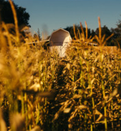 不同星座的女生，各自會被誰暗戀？