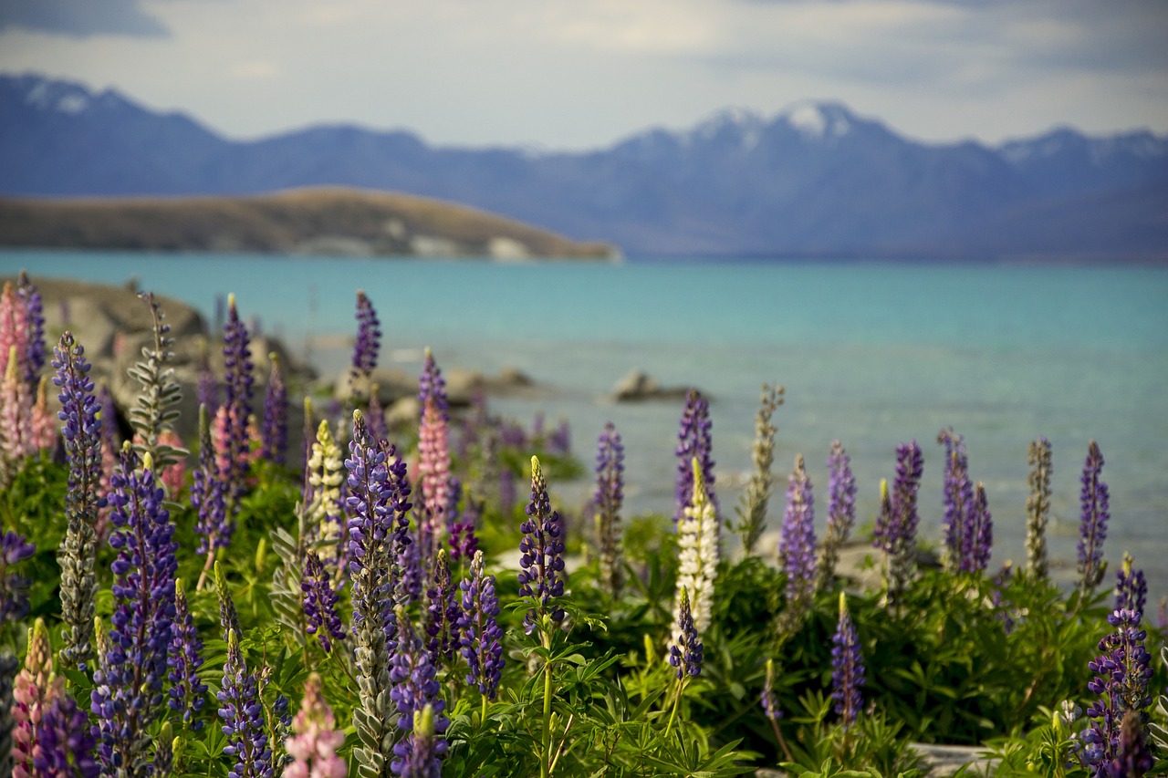 洪姓男孩陽剛霸氣名字