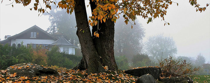 院子的排水口在大門口好嗎