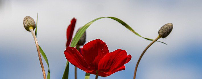 文昌位放書好嗎：家居風水與貴人運的奧秘