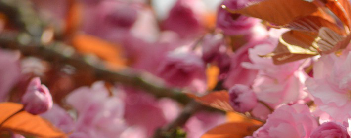 玄學提醒：你越是這樣，財運就會越來越旺