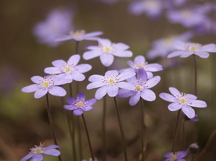 鏡子不知道放在哪？看看家里這四個地方