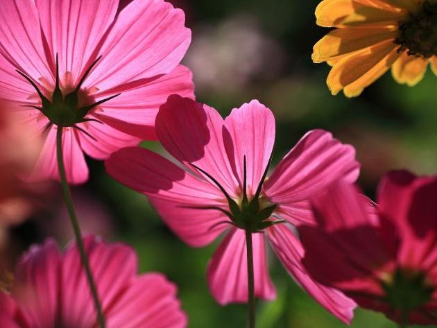 警惕！八字帶這些特征的人容易破財