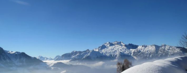 天元坐祿：以官星為祿的獨(dú)特命理格局