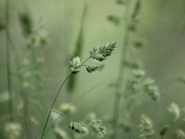 如何通過八字判斷結婚是否對自己好?