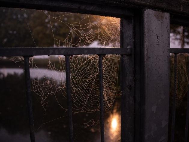 廁所風(fēng)水布局助力財運提升