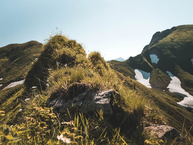 墳地出貴人5大征兆