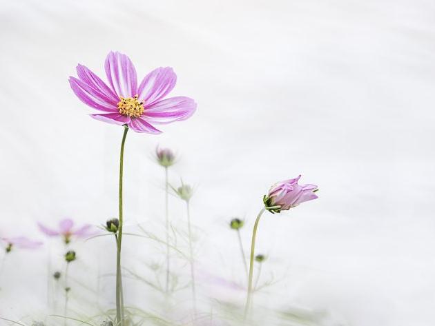 有這3個特征，就是你的貴人