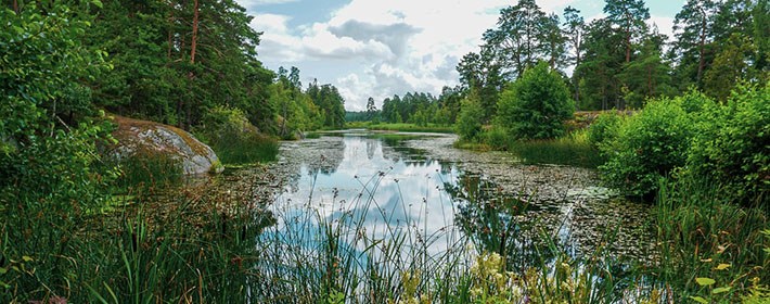 怎么化解祖墳風水不好的影響