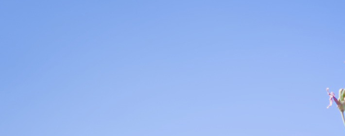 手把手教你八字排大運