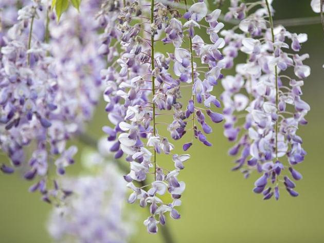 八字中驛馬的應用技巧