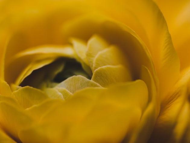 簡單學八字：從日柱看哪些人婚姻難幸福？