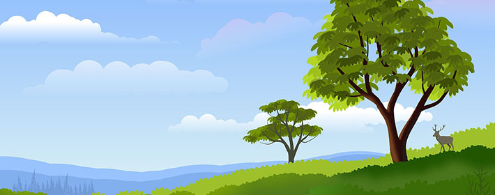 八字中空亡如何取象？