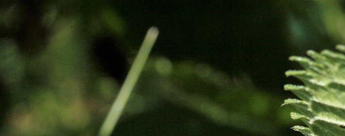 風水中男人財運不好怎么轉運