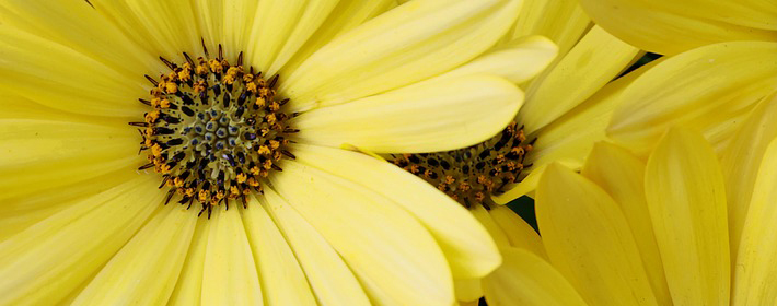 財庫被沖，富貴敲門！八字中的財富密碼大揭秘