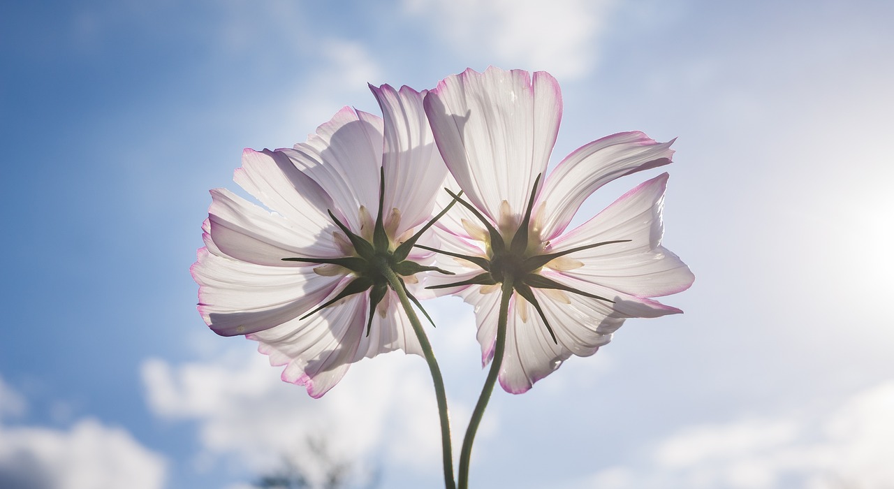 八字低谷期如何看待？